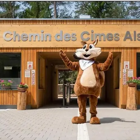 Au Coin Du Chene Lembach